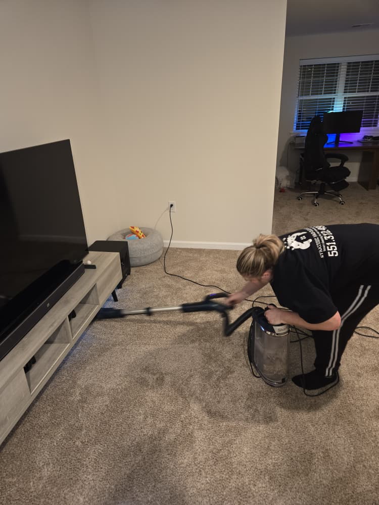 professional cleaning company team at work