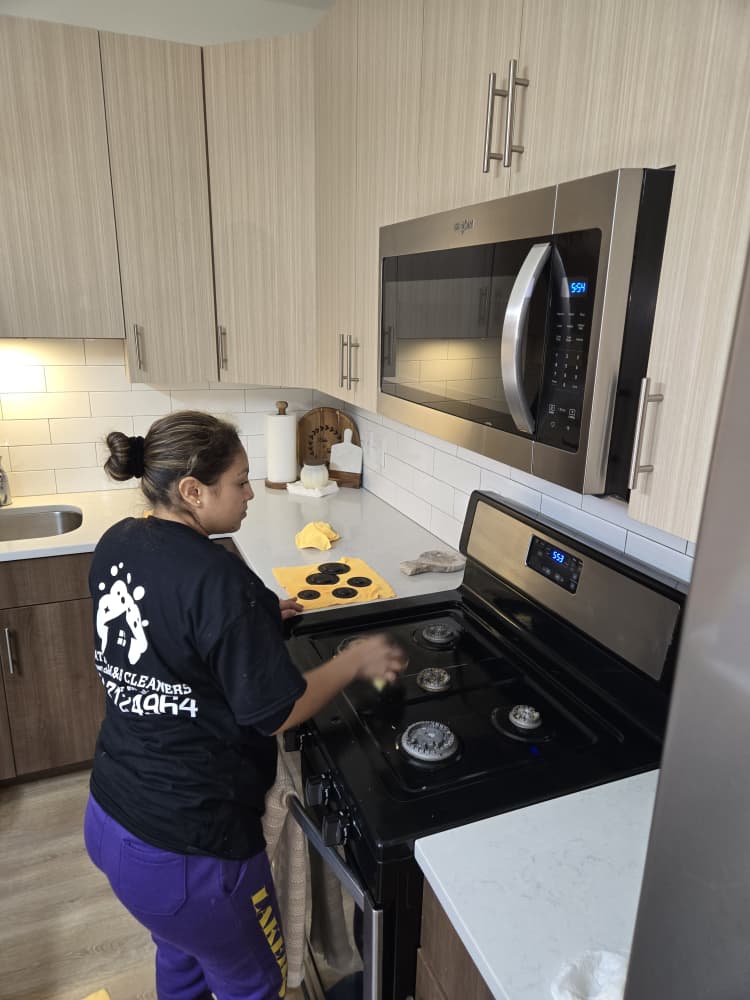 professional home cleaners at work