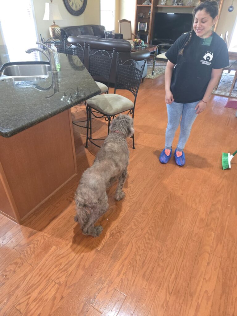 The Emotional Benefits of a Spotless Home